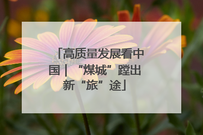 高质量发展看中国｜“煤城”蹚出新“旅”途