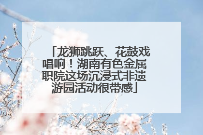 龙狮跳跃、花鼓戏唱响！湖南有色金属职院这场沉浸式非遗游园活动很带感