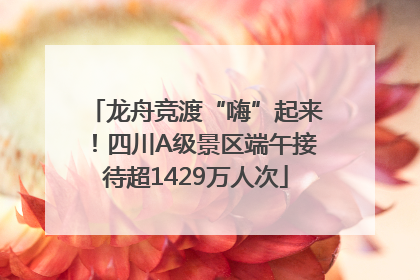 龙舟竞渡“嗨”起来！四川A级景区端午接待超1429万人次
