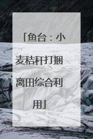 鱼台：小麦秸秆打捆离田综合利用