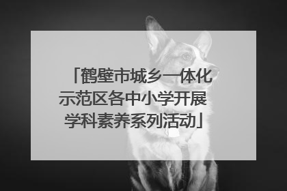 鹤壁市城乡一体化示范区各中小学开展学科素养系列活动