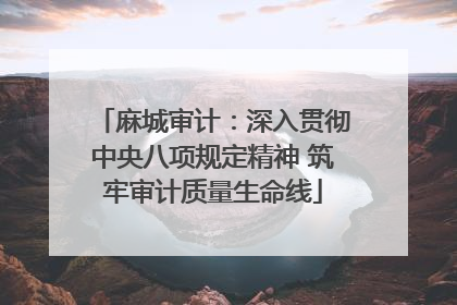 麻城审计：深入贯彻中央八项规定精神 筑牢审计质量生命线