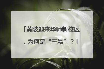 黄陂迎来华师新校区，为何是“三赢”？