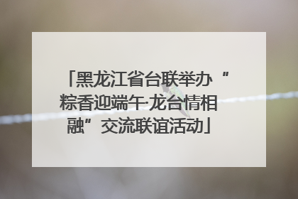 黑龙江省台联举办“粽香迎端午·龙台情相融”交流联谊活动