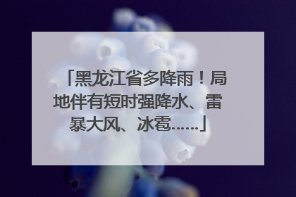 黑龙江省多降雨！局地伴有短时强降水、雷暴大风、冰雹……