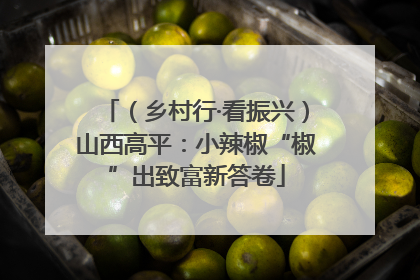 （乡村行·看振兴）山西高平：小辣椒“椒”出致富新答卷
