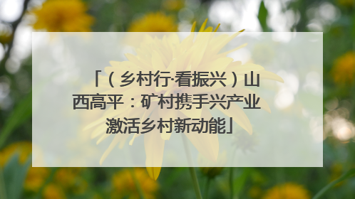（乡村行·看振兴）山西高平：矿村携手兴产业 激活乡村新动能