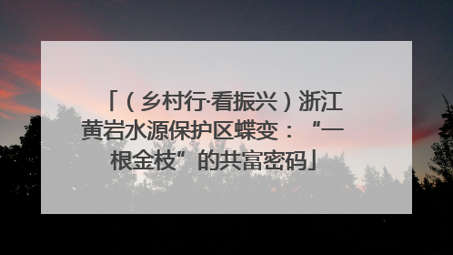 （乡村行·看振兴）浙江黄岩水源保护区蝶变：“一根金枝”的共富密码