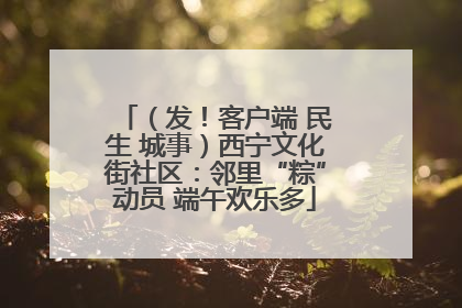 （发！客户端 民生 城事）西宁文化街社区：邻里“粽”动员 端午欢乐多
