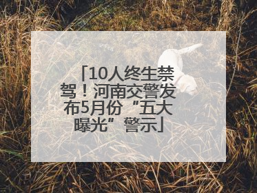 10人终生禁驾！河南交警发布5月份“五大曝光”警示