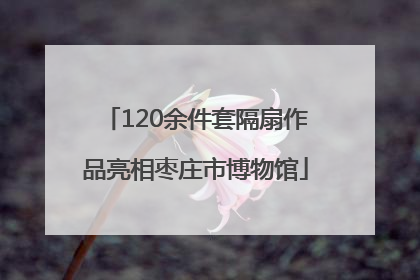 120余件套隔扇作品亮相枣庄市博物馆