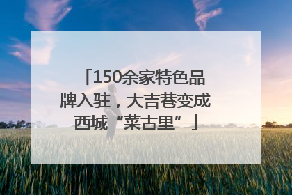 150余家特色品牌入驻，大吉巷变成西城“菜古里”