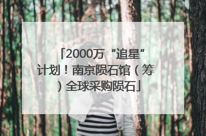 2000万“追星”计划！南京陨石馆（筹）全球采购陨石
