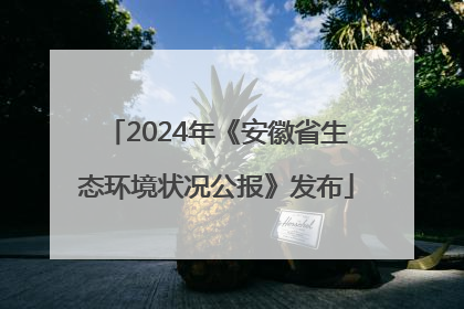 2024年《安徽省生态环境状况公报》发布