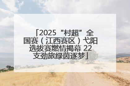 2025“村超”全国赛（江西赛区）弋阳选拔赛燃情揭幕 22支劲旅绿茵逐梦
