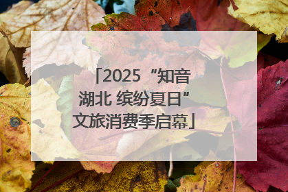 2025“知音湖北 缤纷夏日”文旅消费季启幕