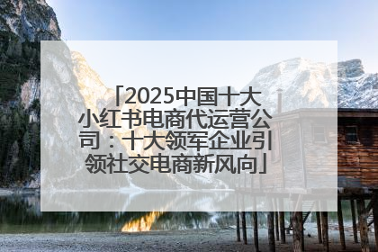 2025中国十大小红书电商代运营公司：十大领军企业引领社交电商新风向