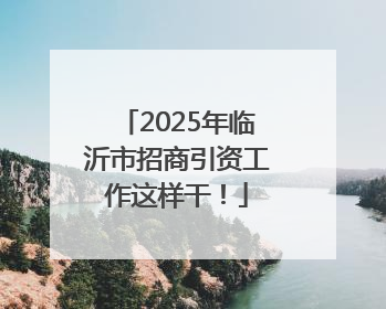 2025年临沂市招商引资工作这样干！