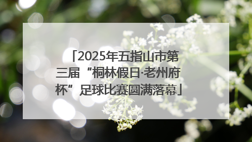 2025年五指山市第三届“桐林假日·老州府杯”足球比赛圆满落幕
