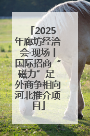 2025年廊坊经洽会·现场丨国际招商“磁力”足 外商争相向河北推介项目