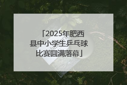 2025年肥西县中小学生乒乓球比赛圆满落幕