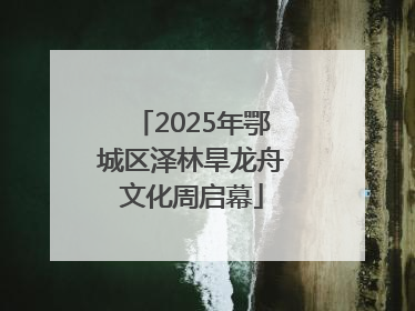 2025年鄂城区泽林旱龙舟文化周启幕