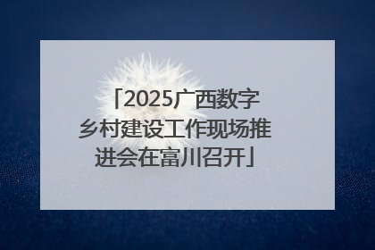 2025广西数字乡村建设工作现场推进会在富川召开