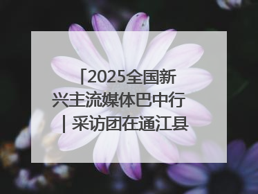 2025全国新兴主流媒体巴中行｜采访团在通江县瞻仰全国最大红军烈士陵园