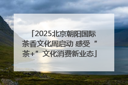 2025北京朝阳国际茶香文化周启动 感受“茶+”文化消费新业态