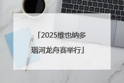 2025维也纳多瑙河龙舟赛举行