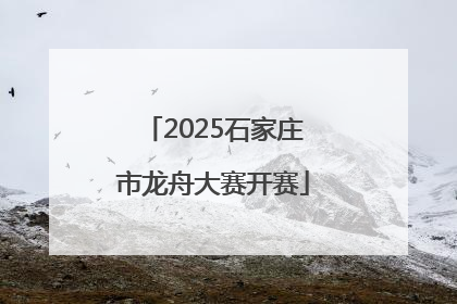 2025石家庄市龙舟大赛开赛