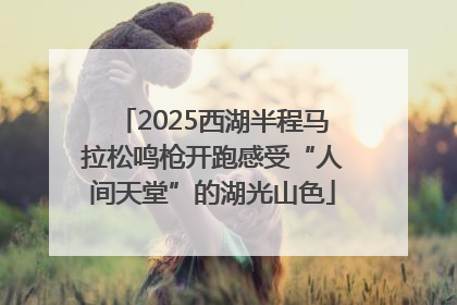 2025西湖半程马拉松鸣枪开跑感受“人间天堂”的湖光山色