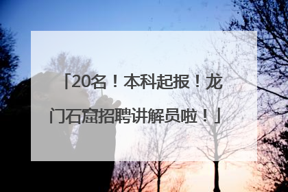 20名！本科起报！龙门石窟招聘讲解员啦！