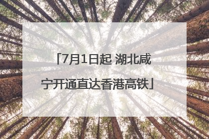 7月1日起 湖北咸宁开通直达香港高铁