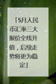 5月人民币汇率三大报价全线升值，后续走势将更为稳定