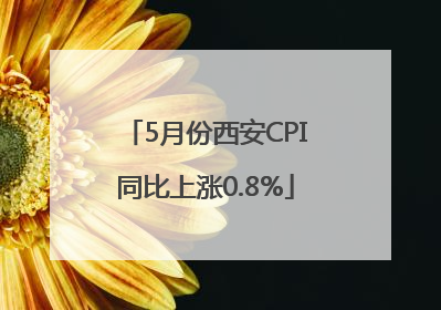 5月份西安CPI同比上涨0.8%