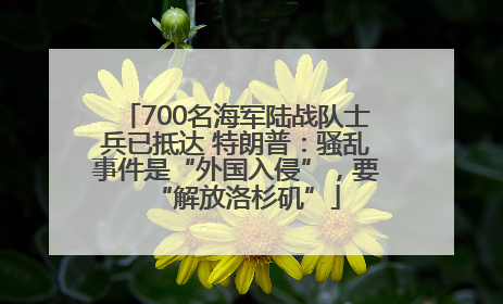 700名海军陆战队士兵已抵达 特朗普：骚乱事件是“外国入侵”，要“解放洛杉矶”