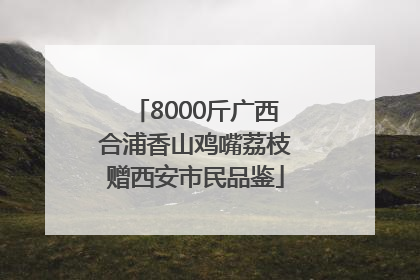 8000斤广西合浦香山鸡嘴荔枝赠西安市民品鉴