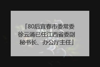 80后宜春市委常委徐云涌已任江西省委副秘书长、办公厅主任