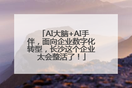 AI大脑+AI手伴，面向企业数字化转型，长沙这个企业太会整活了！