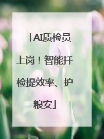 AI质检员上岗！智能扦检提效率、护粮安