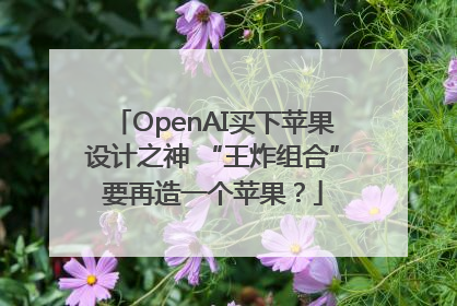 OpenAI买下苹果设计之神 “王炸组合”要再造一个苹果？