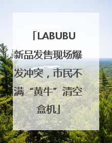 LABUBU新品发售现场爆发冲突，市民不满“黄牛”清空盒机