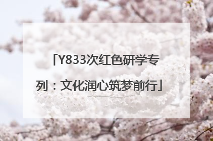 Y833次红色研学专列：文化润心筑梦前行